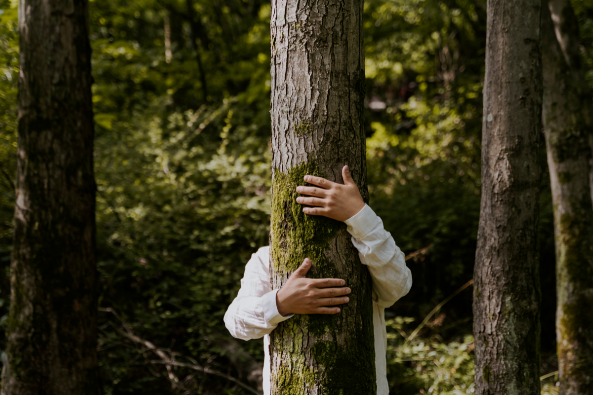 Ressource Wald schützen