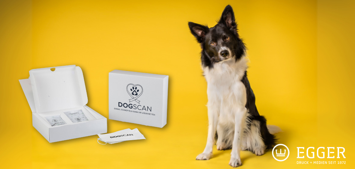 Testkit von Dogscan